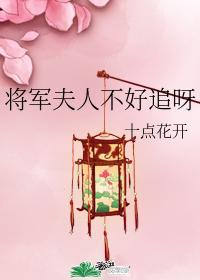 将军夫人不好追呀封面