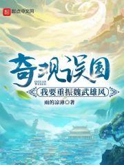 奇观误国：我要重振魏武雄风封面