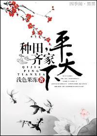 种田，齐家，平天下封面