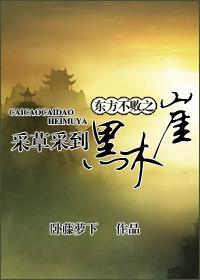 东方不败之采草采到黑木崖封面