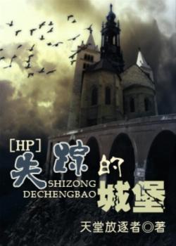 失踪的城堡封面