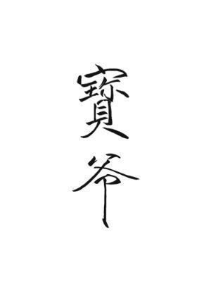 宝爷封面