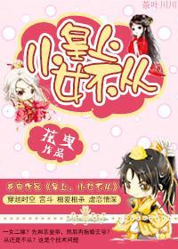 皇上，小女不从封面