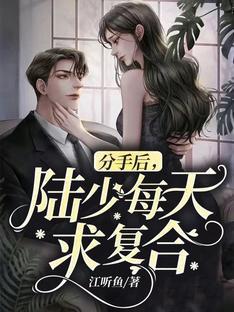 分手后，陆少每天求覆合封面