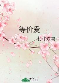 等价爱封面