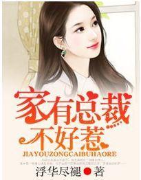 家有总裁，不好惹！封面