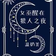 女巫醒在狼人之夜封面