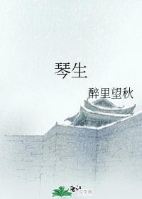 琴生封面