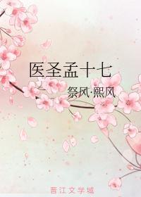 医圣孟十七封面