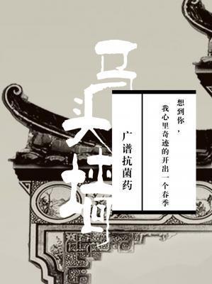 马头墻封面