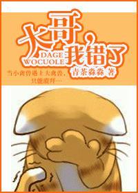 大哥，我错了封面