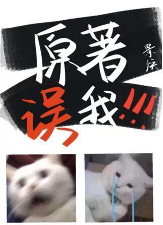 原着误我！！！封面
