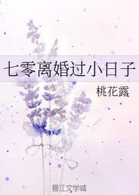 七零离婚过小日子封面