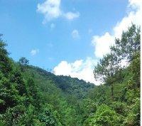 等你靠近封面