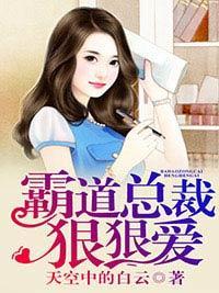 霸道总裁狠狠爱封面