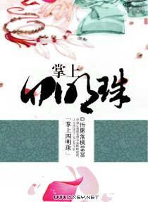 掌上四明珠封面