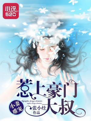 小妻难宠：惹上豪门大叔封面