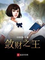 敛财之王封面