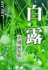 白露封面