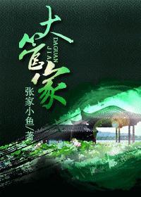 大管家封面