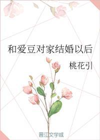 和爱豆对家结婚以后封面