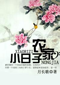 农家小日子封面