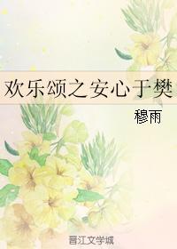 欢乐颂之安心于樊封面