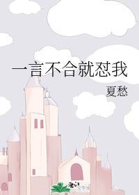 一言不合就怼我封面