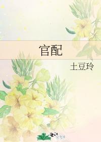 官配封面