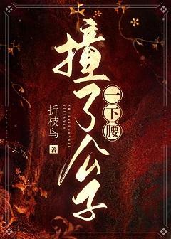 撞了公子一下腰封面