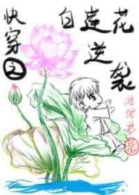 快穿之白莲花逆袭封面
