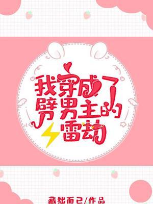 我穿成了劈男主的雷劫封面