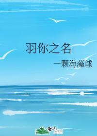 羽你之名封面