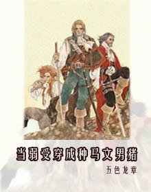 当弱受穿成种马文男猪封面