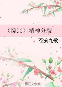 （综DC）精神分裂封面
