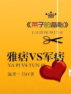 莱子的备胎：雅痞VS军痞封面