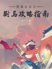 穿越公主之驸马攻略指南封面