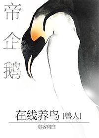 帝企鹅在线养鸟封面