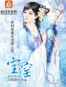 宝窑封面