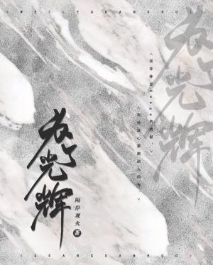 为了光辉abo封面