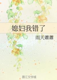 媳妇我错了封面