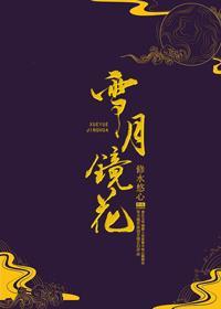 雪月镜花封面