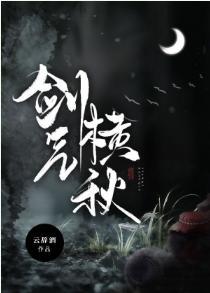 剑气横秋封面