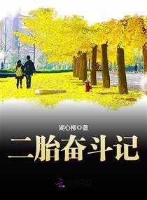 二胎奋斗记封面