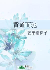 背道而驰封面