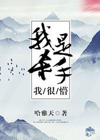 我是杀手我很懵封面
