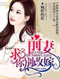 前妻，求你别改嫁封面