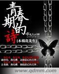 青春期的诗封面