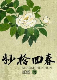 妙拾回春封面