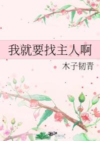 我就要找主人啊封面